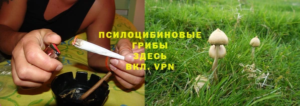 мескалин Анива