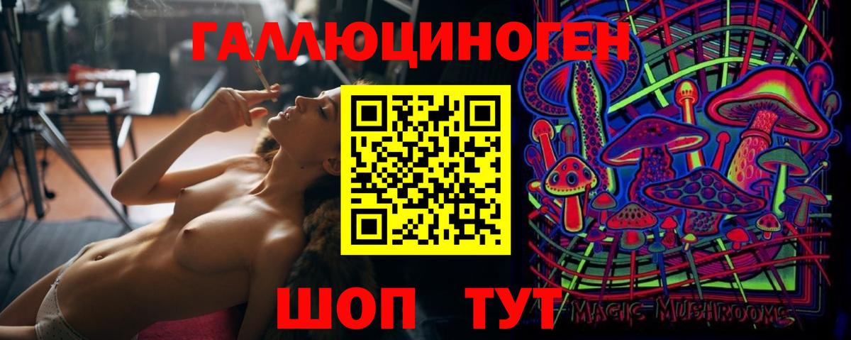 Галлюциногенные грибы Cubensis Саров