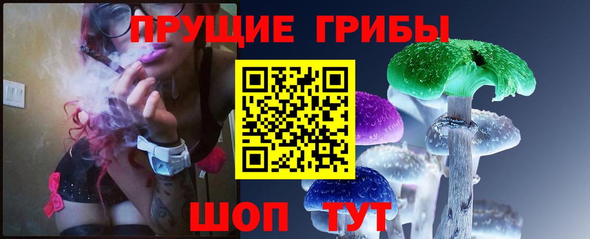 Псилоцибиновые грибы MAGIC MUSHROOMS  Вход с VPN  Саров 